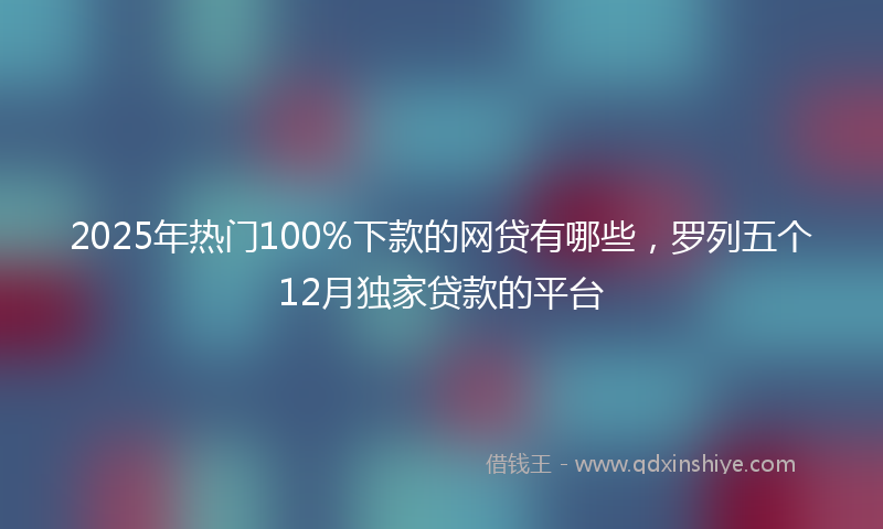 2025年热门100%下款的网贷有哪些，罗列五个12月独家贷款的平台