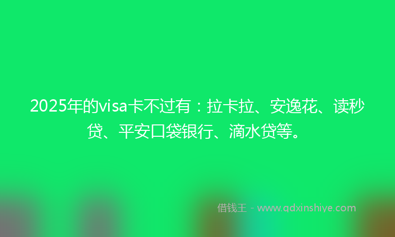 2025年的visa卡不过有：拉卡拉、安逸花、读秒贷、平安口袋银行、滴水贷等。