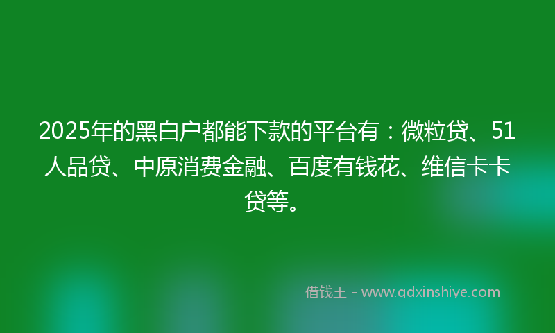 2025年的黑白户都能下款的平台有：微粒贷、51人品贷、中原消费金融、百度有钱花、维信卡卡贷等。