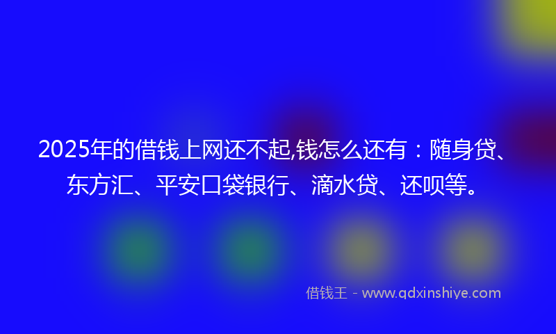 2025年的借钱上网还不起,钱怎么还有：随身贷、东方汇、平安口袋银行、滴水贷、还呗等。