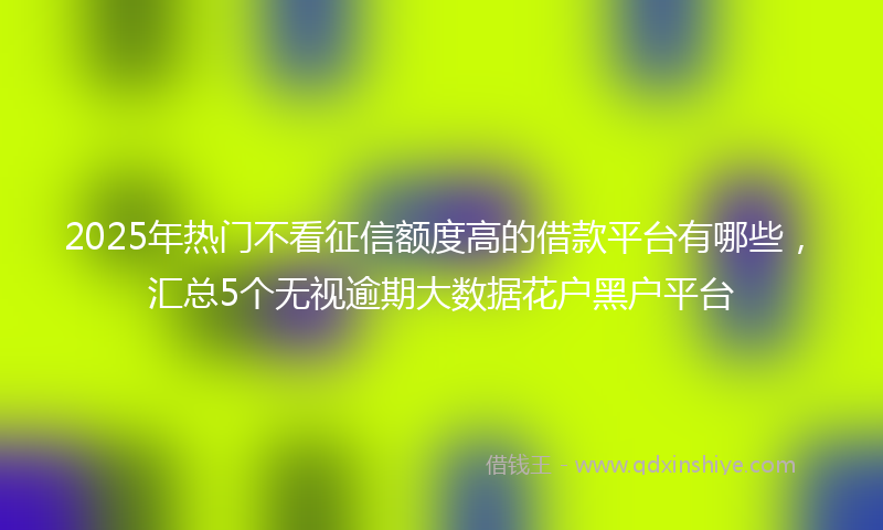 2025年热门不看征信额度高的借款平台有哪些，汇总5个无视逾期大数据花户黑户平台
