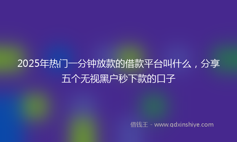 2025年热门一分钟放款的借款平台叫什么，分享五个无视黑户秒下款的口子