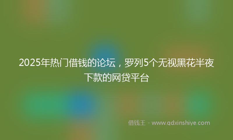 2025年热门借钱的论坛，罗列5个无视黑花半夜下款的网贷平台