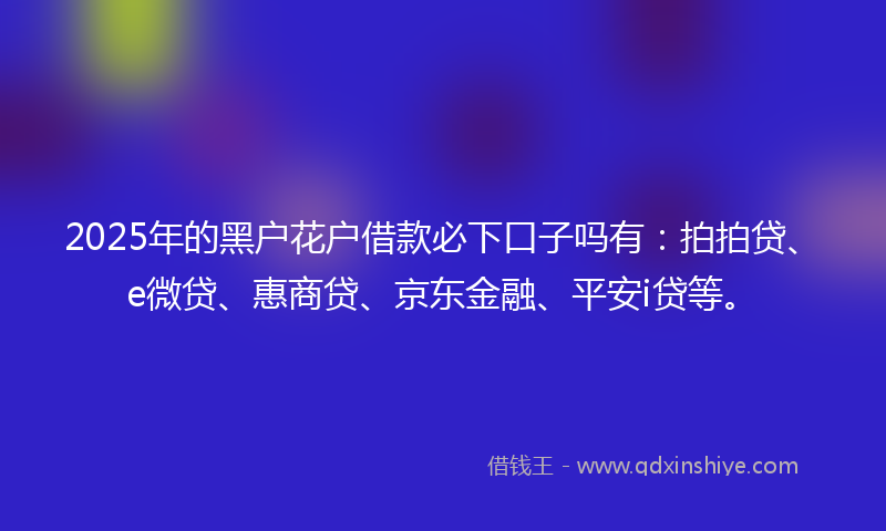 2025年的黑户花户借款必下口子吗有：拍拍贷、e微贷、惠商贷、京东金融、平安i贷等。