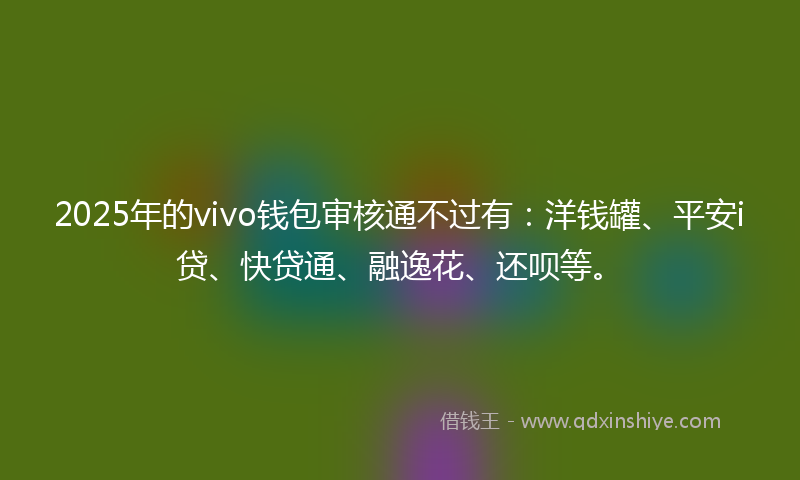2025年的vivo钱包审核通不过有：洋钱罐、平安i贷、快贷通、融逸花、还呗等。
