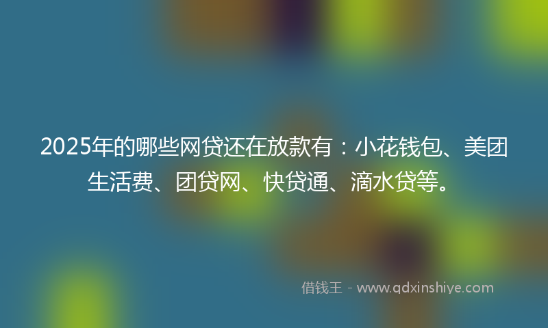 2025年的哪些网贷还在放款有：小花钱包、美团生活费、团贷网、快贷通、滴水贷等。