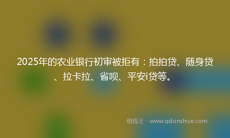 2025年的农业银行初审被拒有：拍拍贷、随身贷、拉卡拉、省呗、平安i贷等。