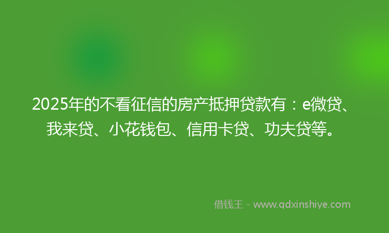 2025年的不看征信的房产抵押贷款有：e微贷、我来贷、小花钱包、信用卡贷、功夫贷等。