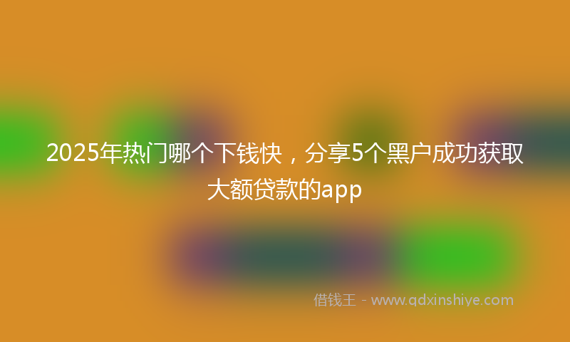 2025年热门哪个下钱快，分享5个黑户成功获取大额贷款的app