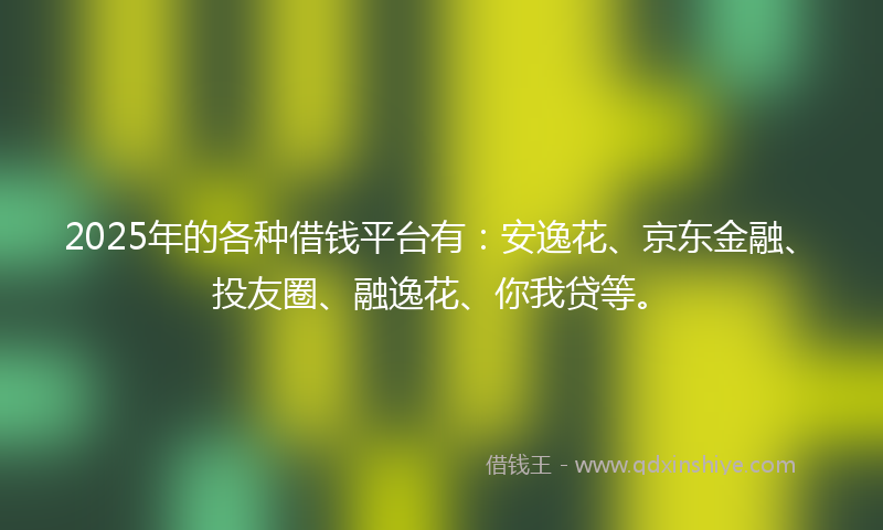 2025年的各种借钱平台有：安逸花、京东金融、投友圈、融逸花、你我贷等。