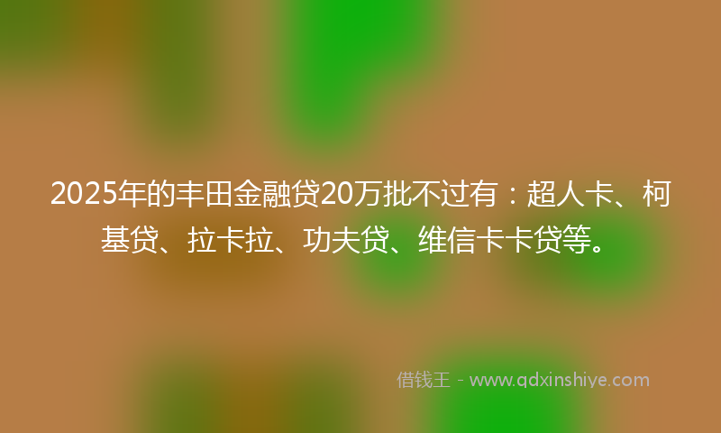 2025年的丰田金融贷20万批不过有：超人卡、柯基贷、拉卡拉、功夫贷、维信卡卡贷等。