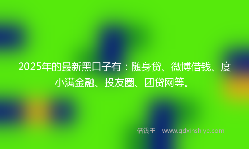 2025年的最新黑口子有：随身贷、微博借钱、度小满金融、投友圈、团贷网等。