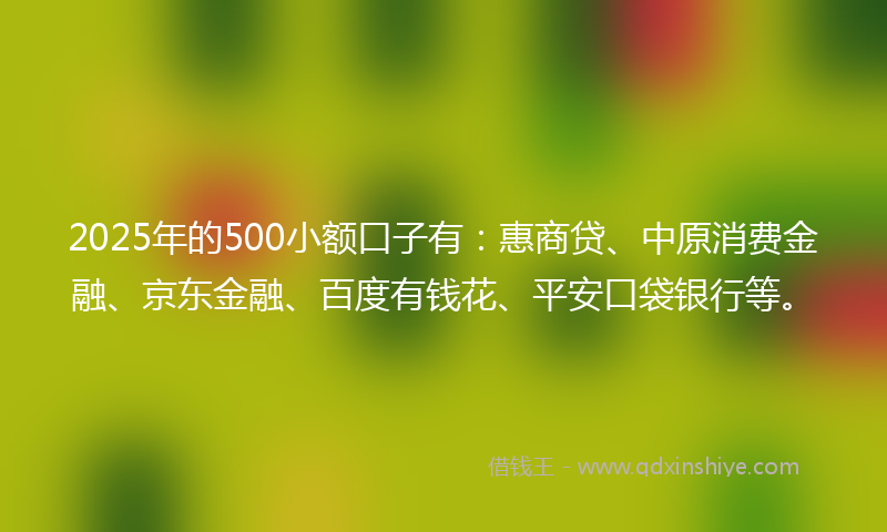 2025年的500小额口子有：惠商贷、中原消费金融、京东金融、百度有钱花、平安口袋银行等。