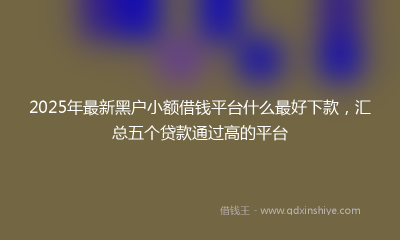 2025年最新黑户小额借钱平台什么最好下款，汇总五个贷款通过高的平台