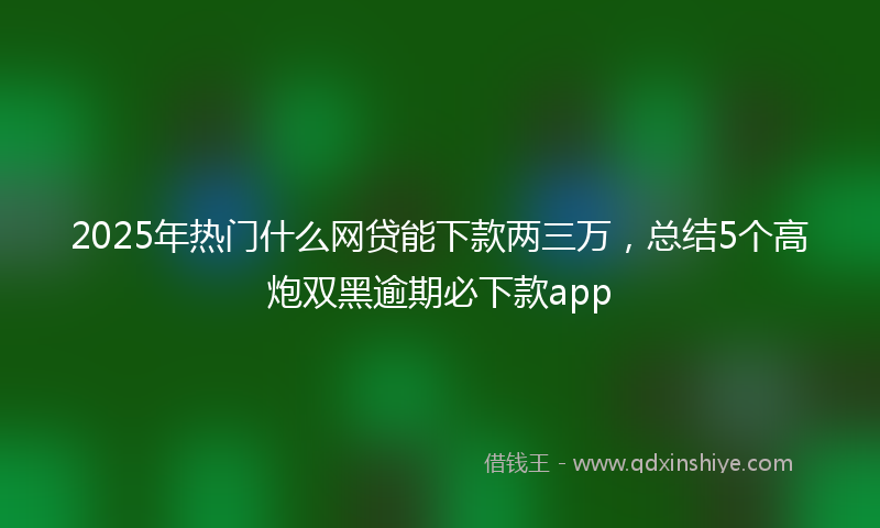 2025年热门什么网贷能下款两三万，总结5个高炮双黑逾期必下款app