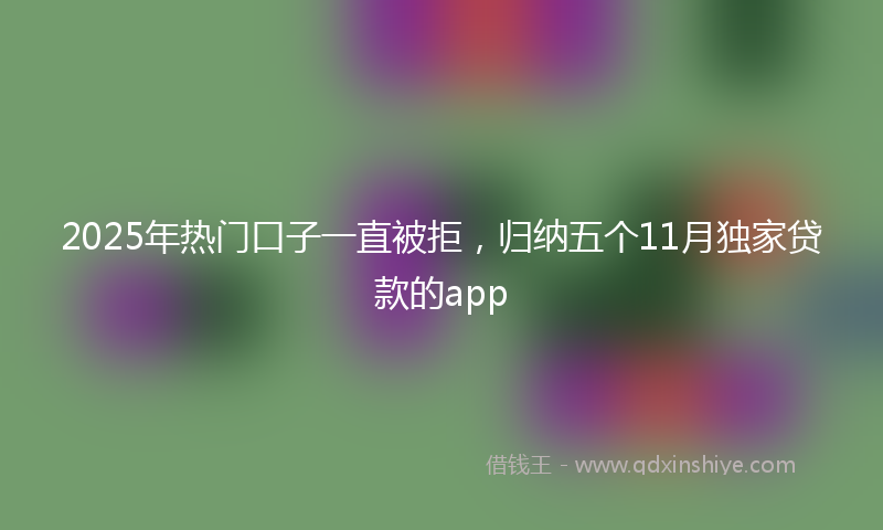2025年热门口子一直被拒，归纳五个11月独家贷款的app