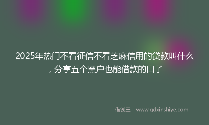 2025年热门不看征信不看芝麻信用的贷款叫什么，分享五个黑户也能借款的口子