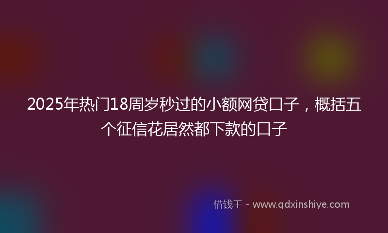 2025年热门18周岁秒过的小额网贷口子，概括五个征信花居然都下款的口子
