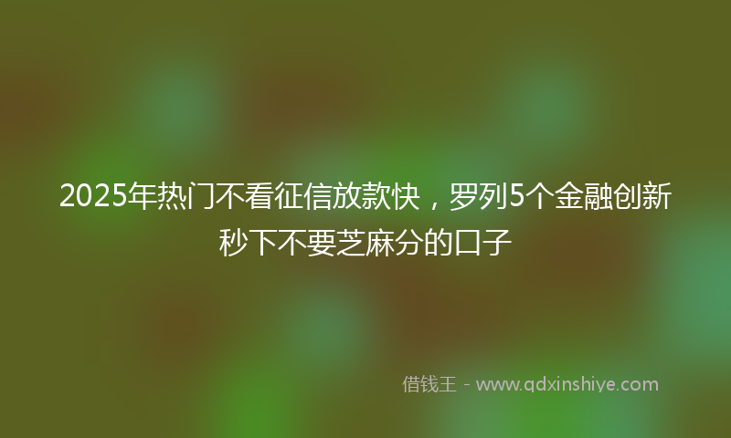 2025年热门不看征信放款快，罗列5个金融创新秒下不要芝麻分的口子