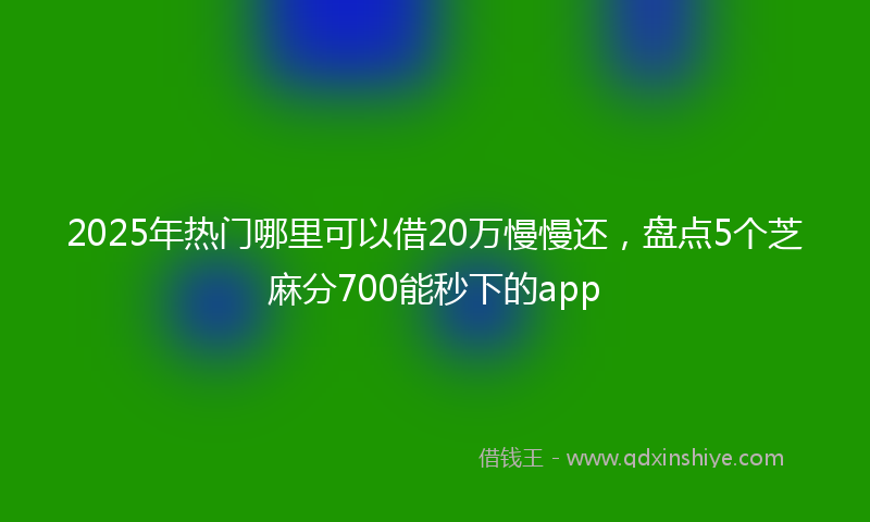 2025年热门哪里可以借20万慢慢还，盘点5个芝麻分700能秒下的app
