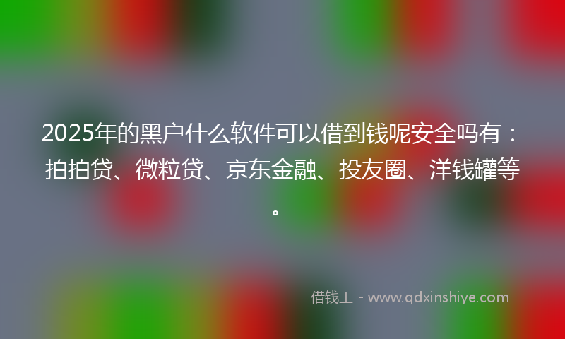 2025年的黑户什么软件可以借到钱呢安全吗有：拍拍贷、微粒贷、京东金融、投友圈、洋钱罐等。