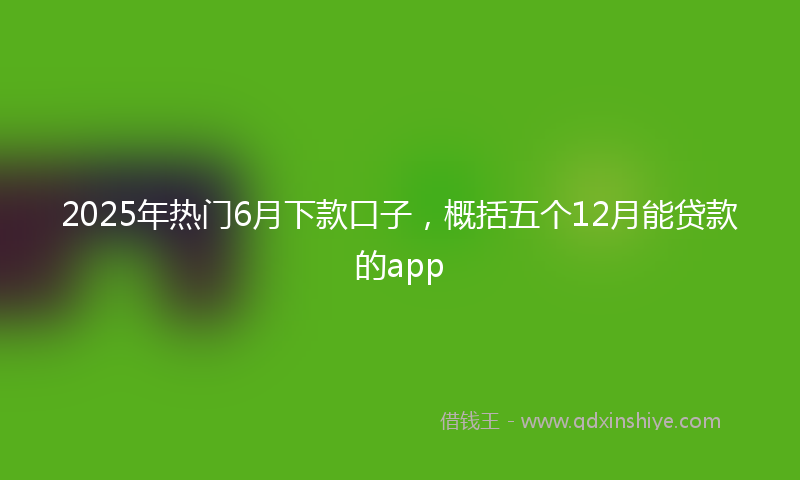 2025年热门6月下款口子，概括五个12月能贷款的app