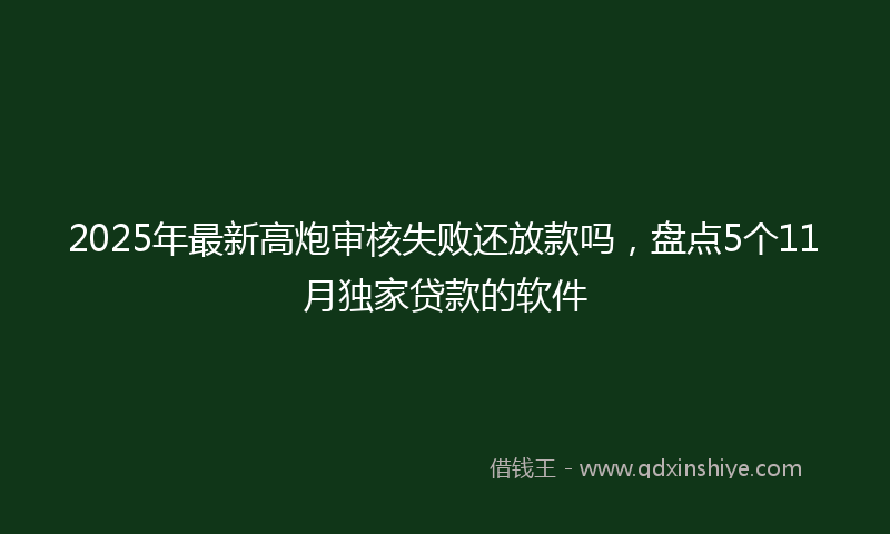 2025年最新高炮审核失败还放款吗，盘点5个11月独家贷款的软件