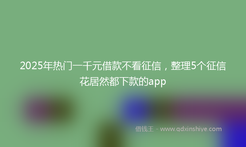 2025年热门一千元借款不看征信，整理5个征信花居然都下款的app