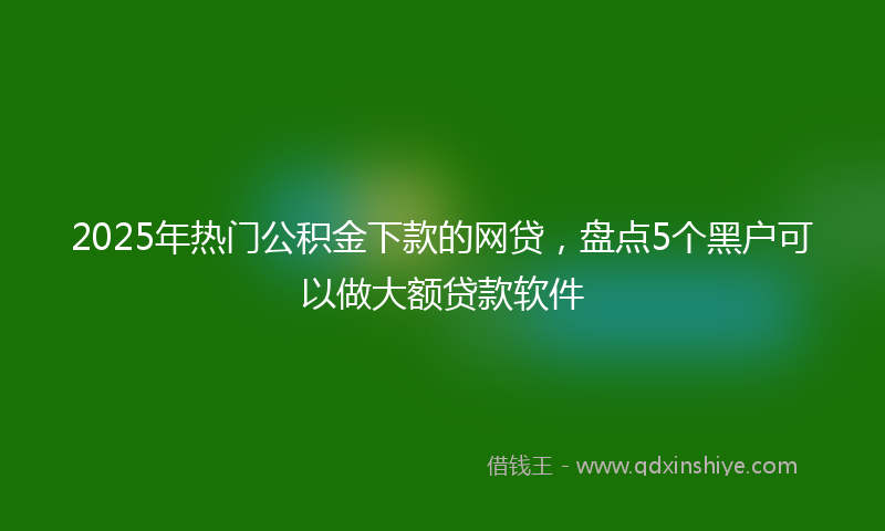 2025年热门公积金下款的网贷，盘点5个黑户可以做大额贷款软件