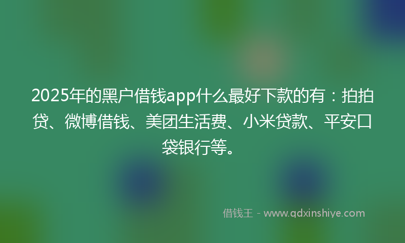 2025年的黑户借钱app什么最好下款的有：拍拍贷、微博借钱、美团生活费、小米贷款、平安口袋银行等。