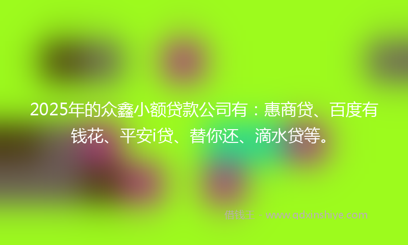 2025年的众鑫小额贷款公司有：惠商贷、百度有钱花、平安i贷、替你还、滴水贷等。