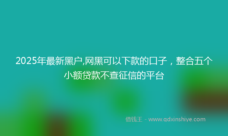 2025年最新黑户,网黑可以下款的口子，整合五个小额贷款不查征信的平台