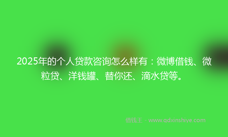 2025年的个人贷款咨询怎么样有：微博借钱、微粒贷、洋钱罐、替你还、滴水贷等。
