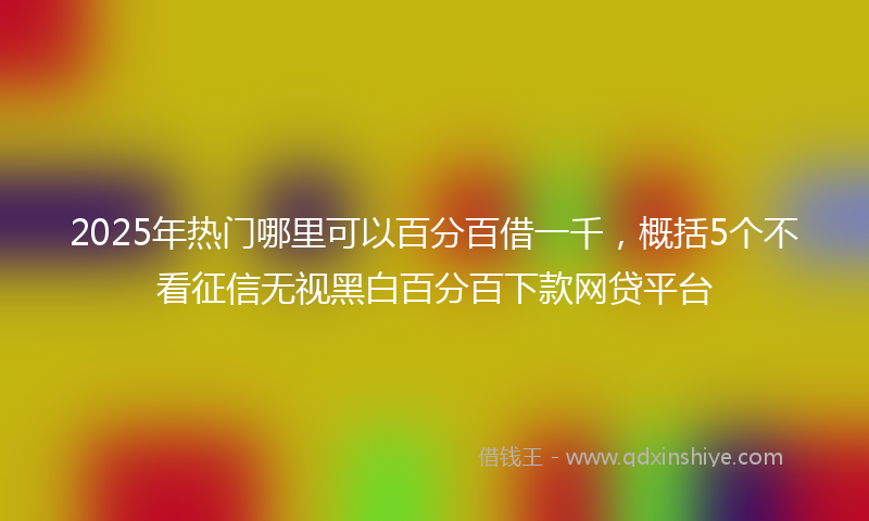 2025年热门哪里可以百分百借一千，概括5个不看征信无视黑白百分百下款网贷平台