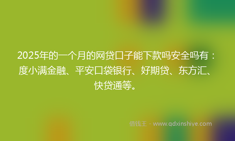 2025年的一个月的网贷口子能下款吗安全吗有：度小满金融、平安口袋银行、好期贷、东方汇、快贷通等。