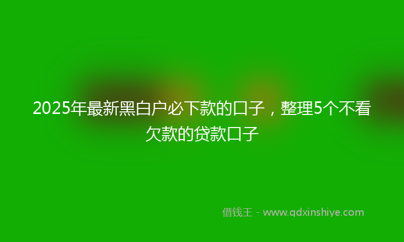 2025年最新黑白户必下款的口子，整理5个不看欠款的贷款口子