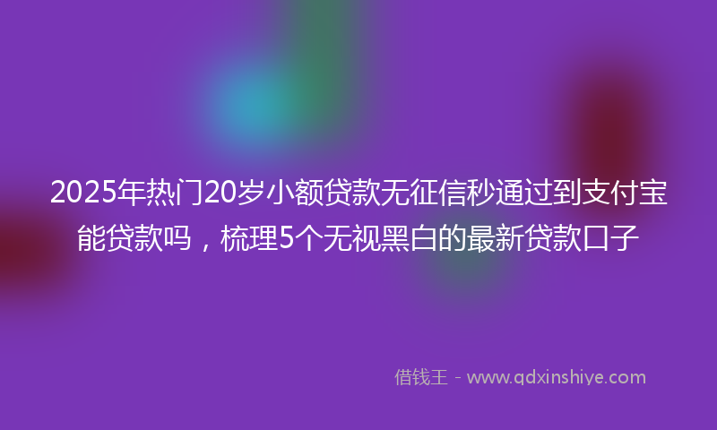 2025年热门20岁小额贷款无征信秒通过到支付宝能贷款吗，梳理5个无视黑白的最新贷款口子