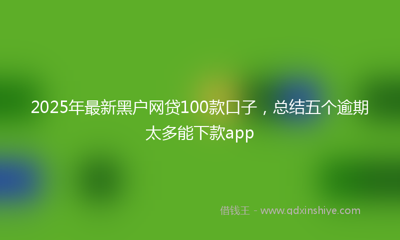2025年最新黑户网贷100款口子，总结五个逾期太多能下款app