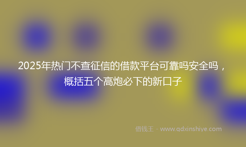 2025年热门不查征信的借款平台可靠吗安全吗，概括五个高炮必下的新口子