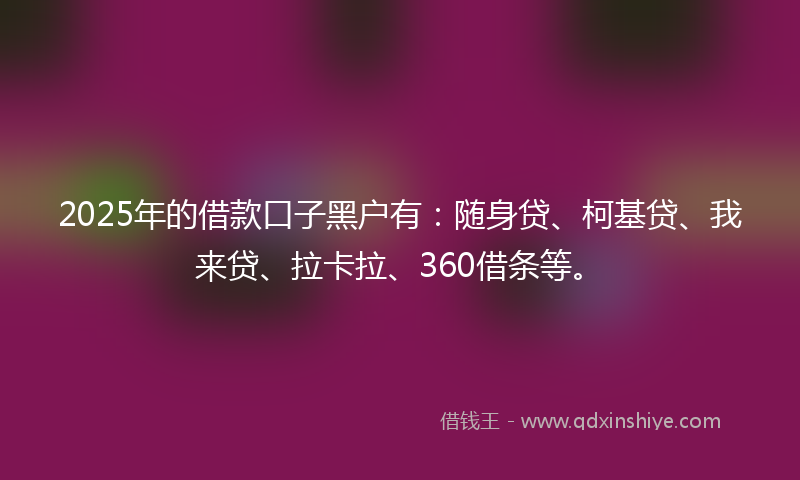 2025年的借款口子黑户有：随身贷、柯基贷、我来贷、拉卡拉、360借条等。