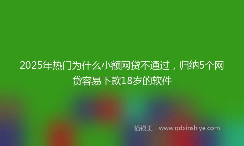 2025年热门为什么小额网贷不通过，归纳5个网贷容易下款18岁的软件
