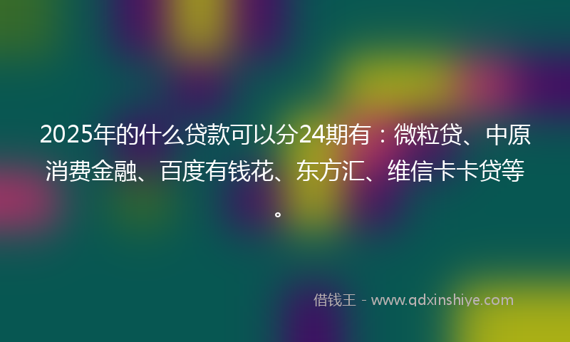 2025年的什么贷款可以分24期有：微粒贷、中原消费金融、百度有钱花、东方汇、维信卡卡贷等。