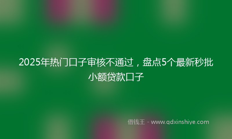 2025年热门口子审核不通过，盘点5个最新秒批小额贷款口子