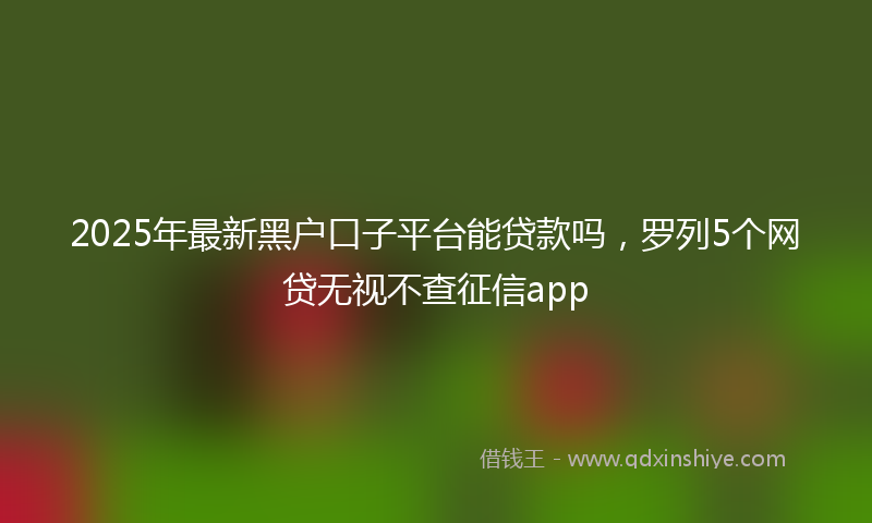 2025年最新黑户口子平台能贷款吗，罗列5个网贷无视不查征信app