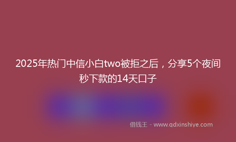 2025年热门中信小白two被拒之后，分享5个夜间秒下款的14天口子