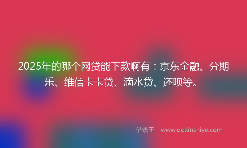 2025年的哪个网贷能下款啊有：京东金融、分期乐、维信卡卡贷、滴水贷、还呗等。