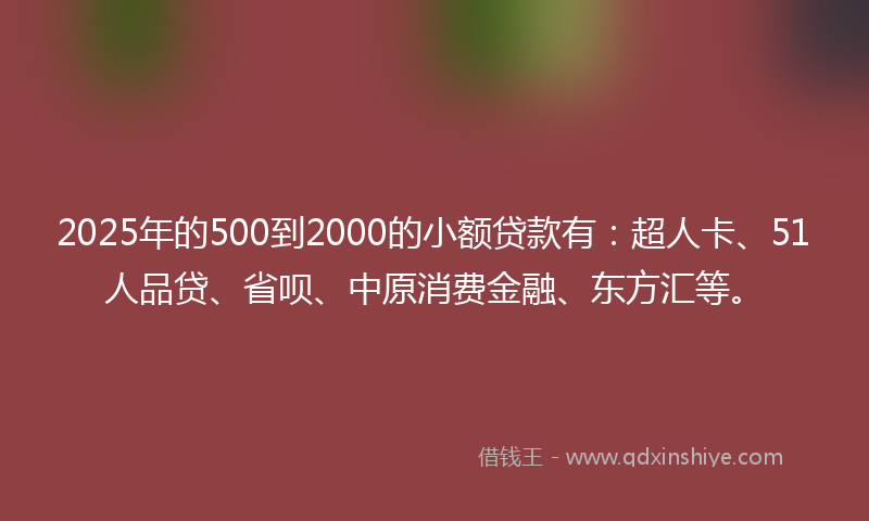 2025年的500到2000的小额贷款有：超人卡、51人品贷、省呗、中原消费金融、东方汇等。