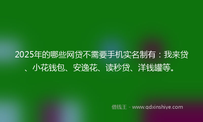 2025年的哪些网贷不需要手机实名制有：我来贷、小花钱包、安逸花、读秒贷、洋钱罐等。