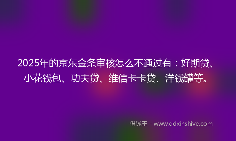 2025年的京东金条审核怎么不通过有：好期贷、小花钱包、功夫贷、维信卡卡贷、洋钱罐等。