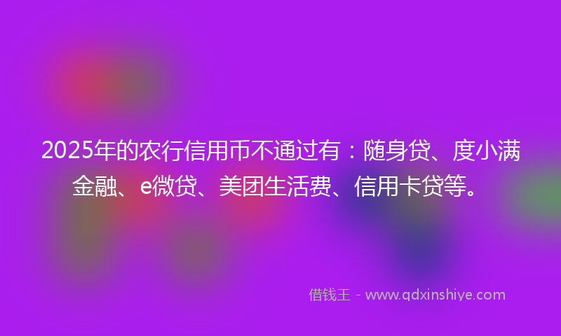 2025年的农行信用币不通过有：随身贷、度小满金融、e微贷、美团生活费、信用卡贷等。